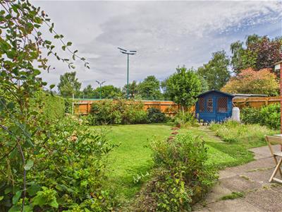 Picture 30